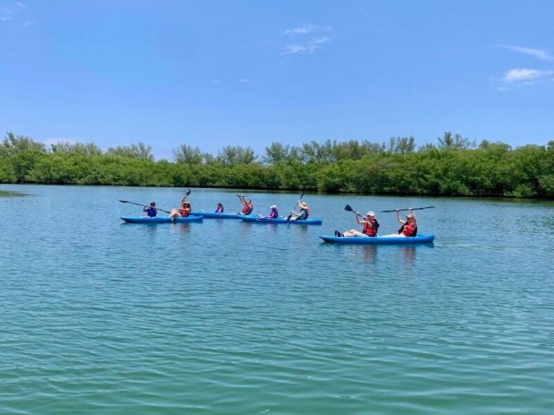 Miami: Manatee Season Paddleboard or Kayak Tour - FAQs
