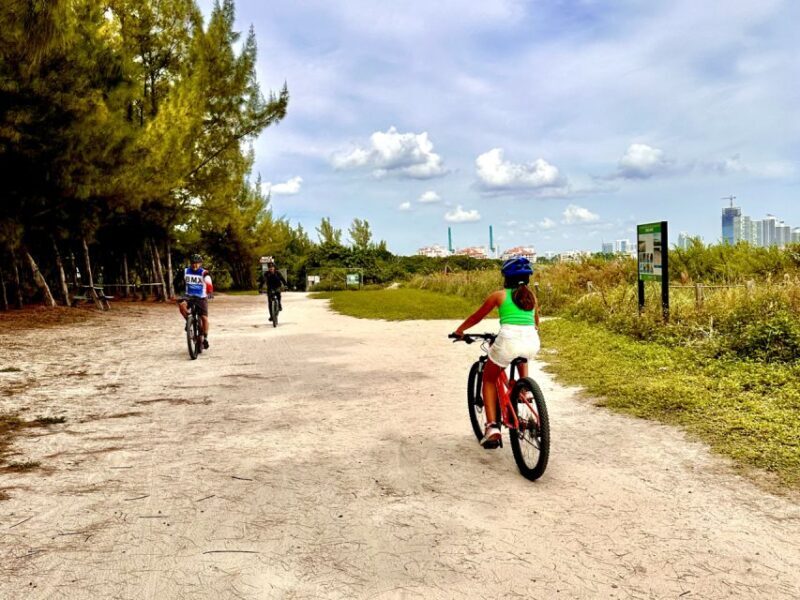 Miami: Mountain Bike Rental on Virginia Key Trails - The Ride: What You’ll Experience