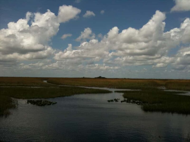 Miami: Original Everglades Airboat Tour & Interpretive area - Key Points