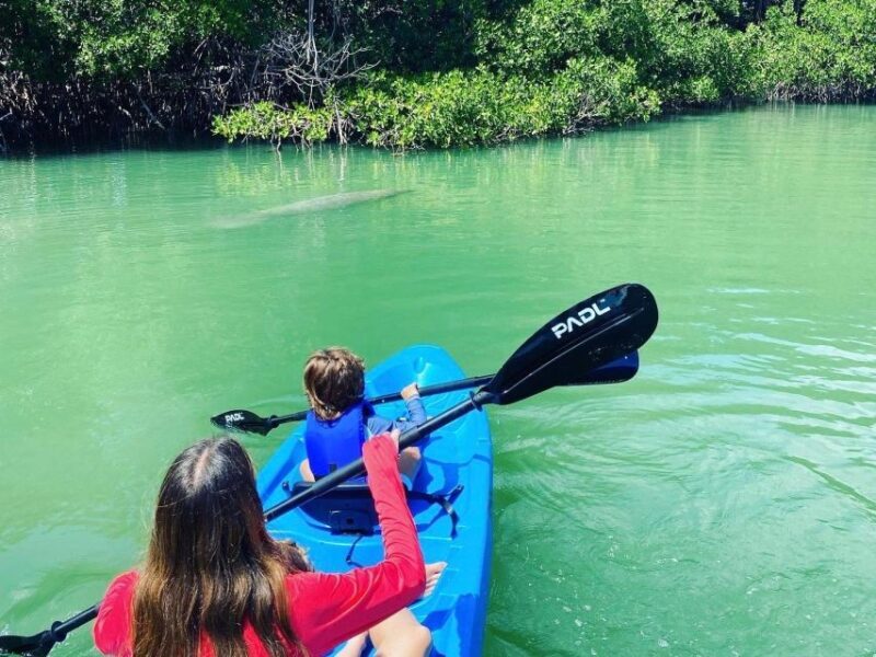 Miami: Paddle Board or Kayak Rental in Virginia Key - Miami: Paddle Board or Kayak Rental in Virginia Key