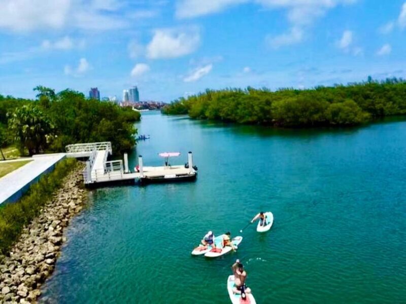 Miami: Paddle Board or Kayak Rental in Virginia Key - Key Points