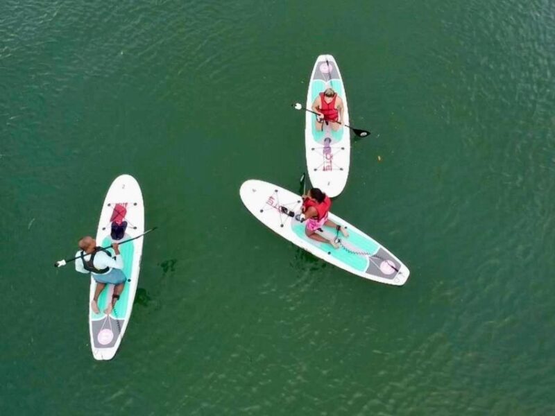 Miami: Paddle Board or Kayak Rental in Virginia Key - The Sum Up