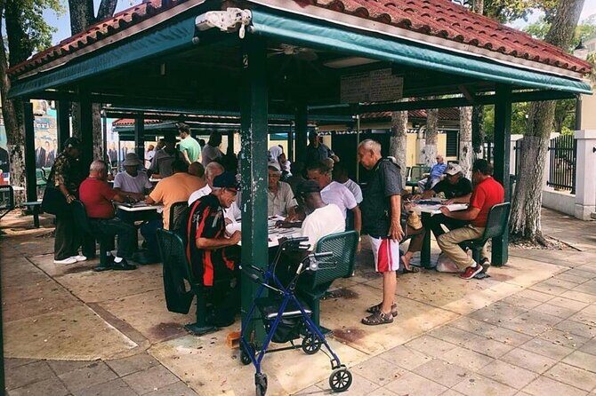 Miami Private City Tour Explore Emblematic Neighborhoods - Who Will Love This Tour?