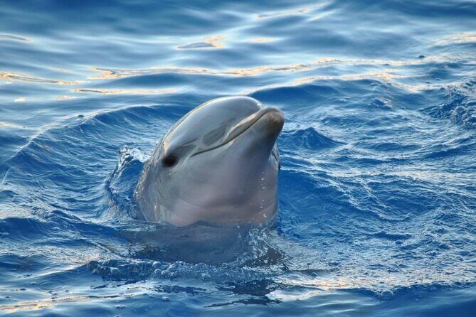 Miami: Private Golden Hour Cruise - Final Thoughts