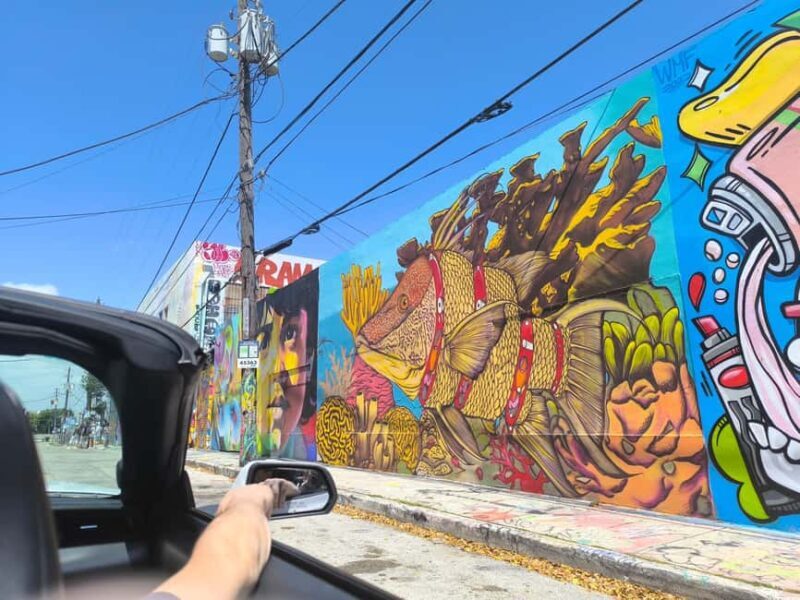 Miami: Private tour in a convertible Mustang in French - Authentic Experiences and Practical Details