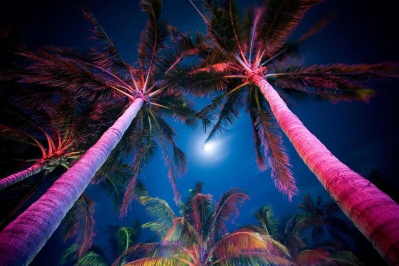 Miami Private Tour: Moonlight Magic Nightlife Experience - Authentic Experiences and Local Insights