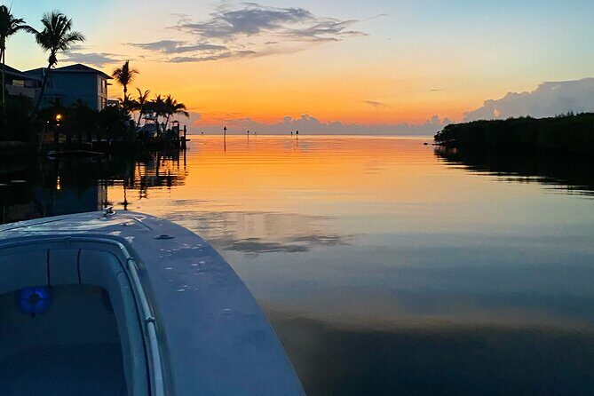 Miami Private Yacht Rental with Captain - Authentic Experiences and Visitor Feedback