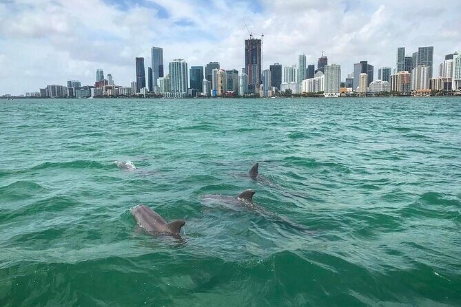 Miami Small Group Boat Tour: History, Wildlife, and Stiltsville - Why This Tour Offers Great Value