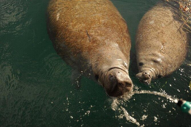 Miami Small Group Boat Tour: History, Wildlife, and Stiltsville - Who Will Love This Tour?