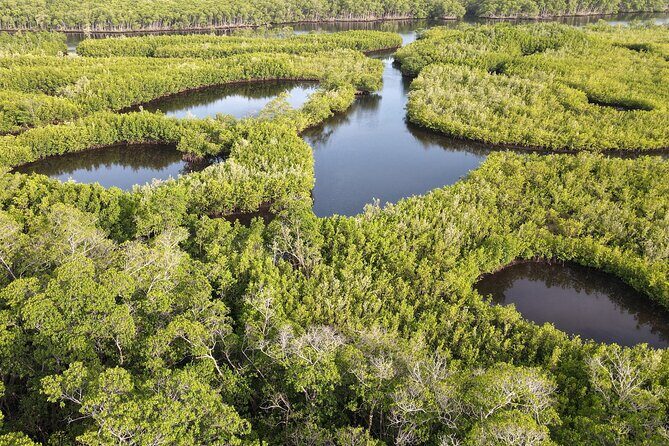 Miami Small-Group Tour with Boat Cruise + Little Havana +Wynwood - The Sum Up