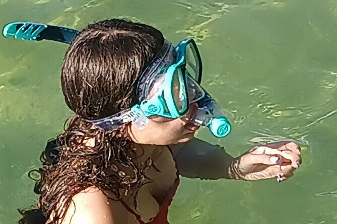 Miami: Snorkel adventure & Sandbar Trip - A Detailed Look at the Tour