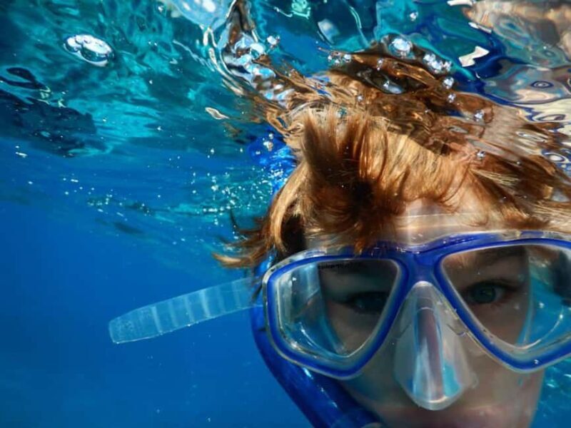 Miami Snorkeling for Beginners from Bayside Market Place - A Detailed Look at the Experience