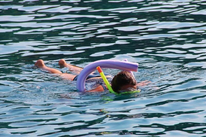 Miami Snorkeling for Beginners from Bayside Market Place - Authentic Experiences from Fellow Travelers