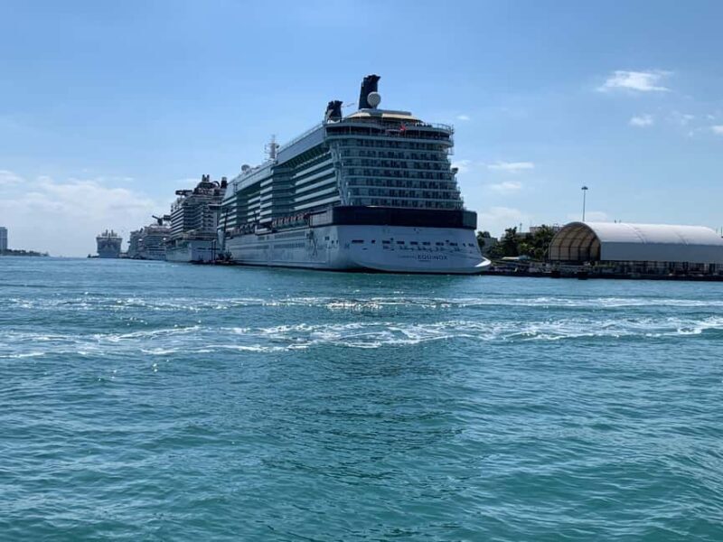 Miami Snorkeling for Beginners from Bayside Market Place - The Sum Up