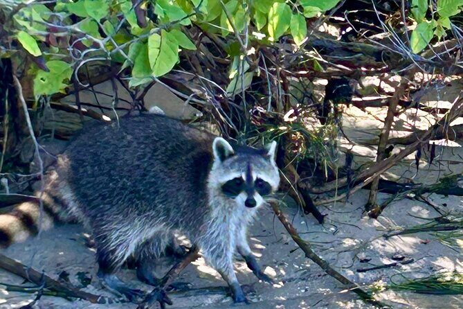 Miami: Sunset Boat Charter Cruise in a Formula Thunderbird - Final Thoughts