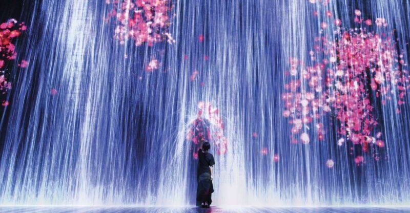 Miami: 'Superblue Miami' Immersive Art Experience Ticket - The Itinerary & What to Expect