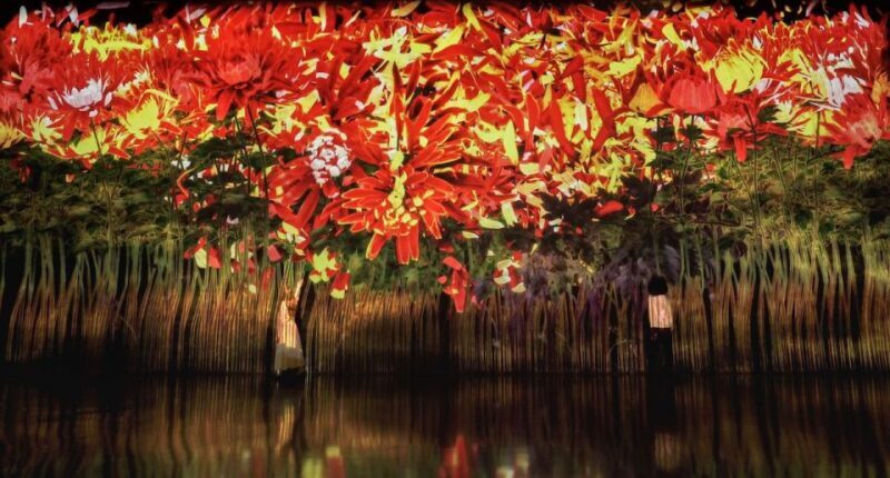 Miami: 'Superblue Miami' Immersive Art Experience Ticket - Who Should Visit Superblue Miami?