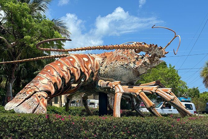 Miami to Key West Bus Tour with Narration - FAQ