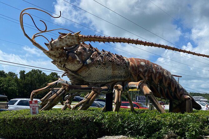 Miami to Key West with Islamorada Hop-Off + 6 Hours in Key West - An In-Depth Look at the Miami to Key West with Islamorada Hop-Off Tour