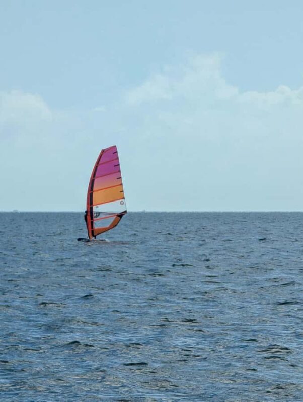 Miami: Windsurfing Experience at Hobie Beach - An Authentic Windsurfing Adventure in Miami