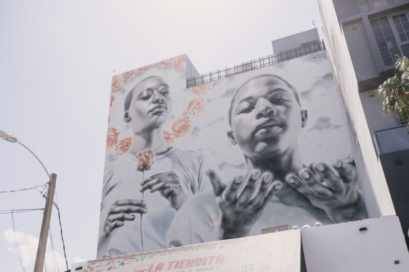 Miami: Wynwood Walking Tour - A Deep Dive into the Wynwood Experience