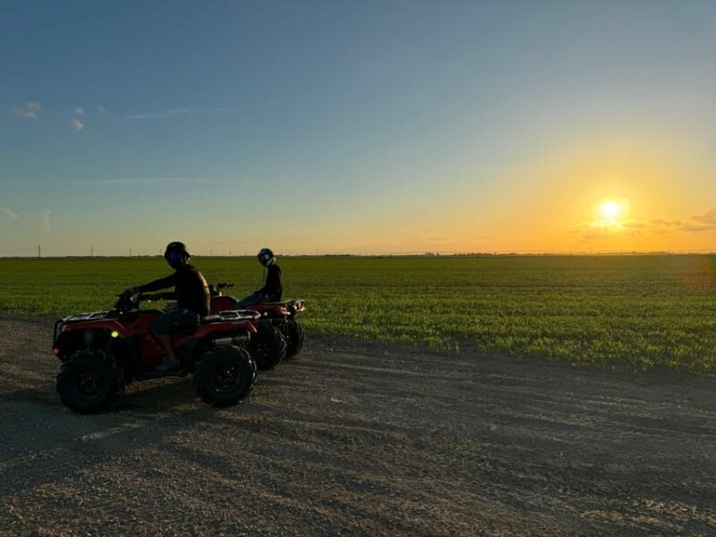 Miami's Ultimate ATV Adventure- Free Passenger & Safety Gear - The Sum Up