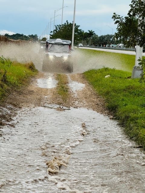 Miami's Ultimate Buggy Adventure on a Honda Talon UTV - A Practical and Fun Way to Discover Miami’s Countryside