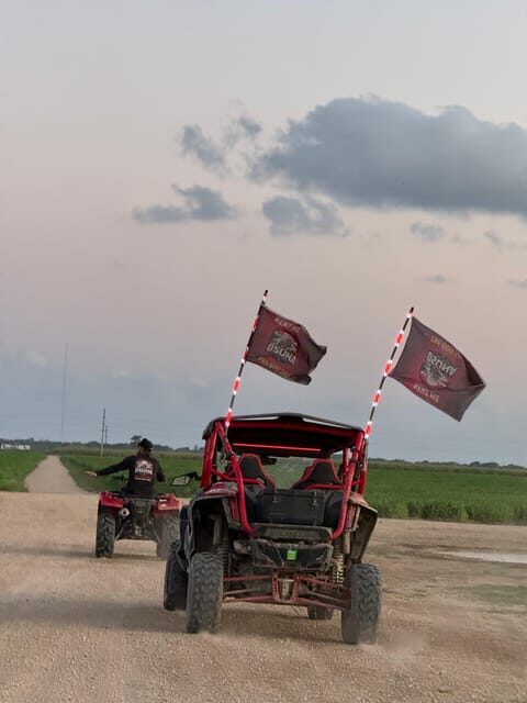 Miami's Ultimate Buggy Adventure on a Honda Talon UTV - Analyzing the Price and Value