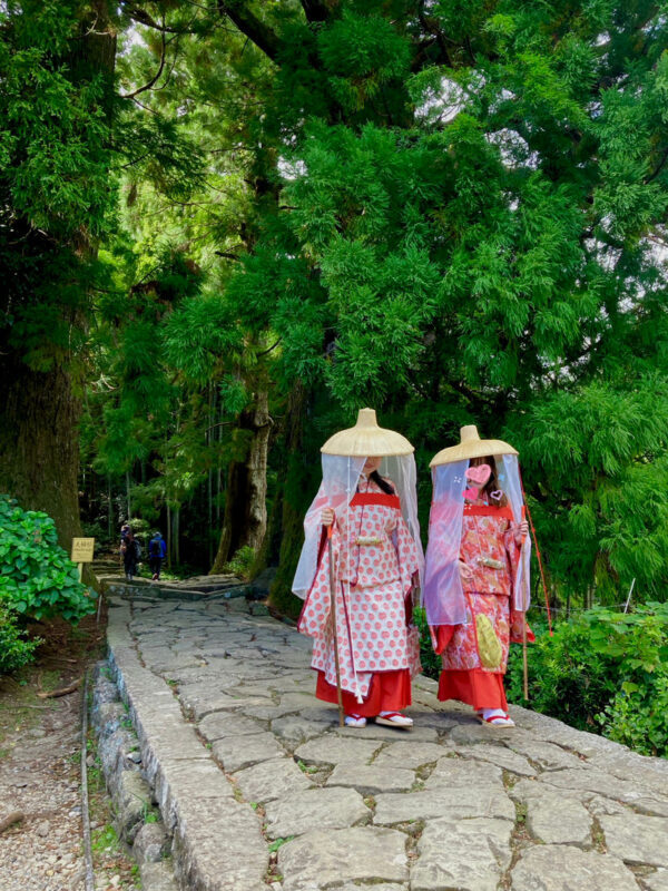 Michelin Kumano Kodo Pilgrimage & Nachi Falls Day Tour from Nagoya - Nachi Falls: the day’s dramatic finish
