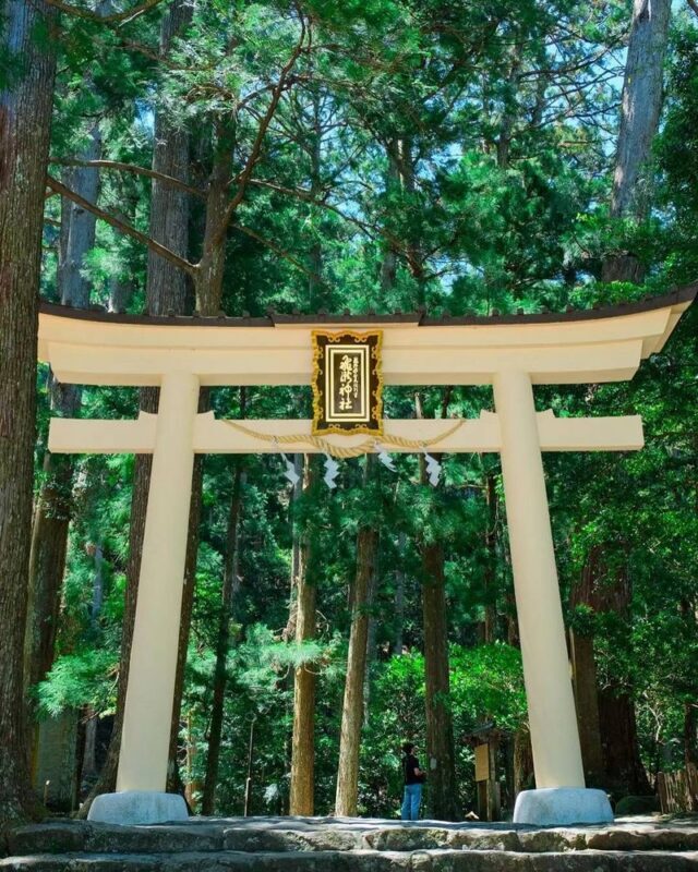 Michelin Kumano Kodo Pilgrimage & Nachi Falls Day Tour from Nagoya - Coastal views from the bus window