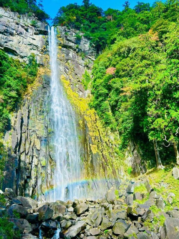 Michelin Kumano Kodo Pilgrimage & Nachi Falls Day Tour from Nagoya - What the $67.10 starting price gets you