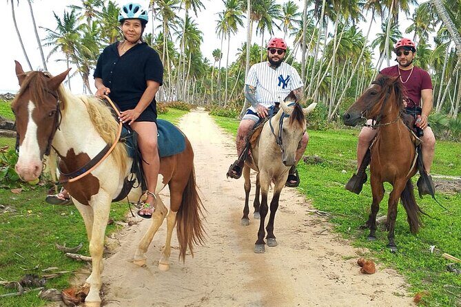 Miches Beach Horseback Riding - Key Points