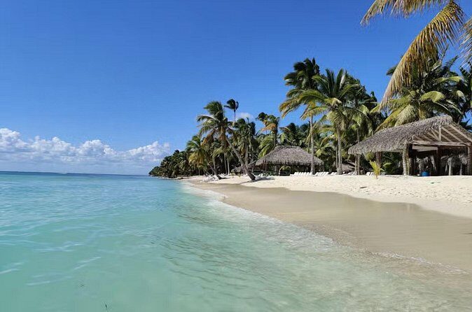 Miches Catamaran Boat to Saona Island with Buffet Lunch - The Sum Up: Is It Worth It?