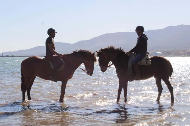 Miches: Montaña Redonda, Chocolate Factory & Horse Ride - FAQ