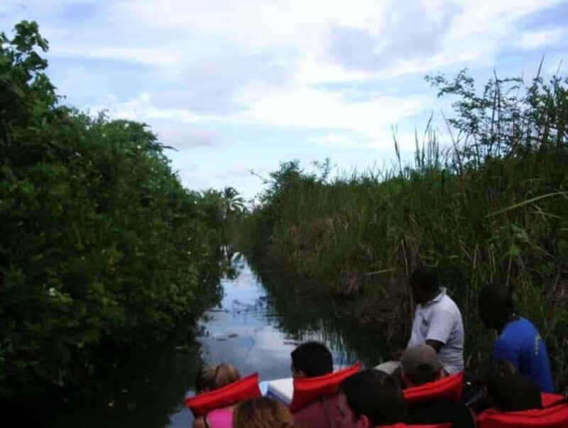 Miches: Private Kayak Excursion Through El Limón Lagoon - What You Can Expect During the Tour