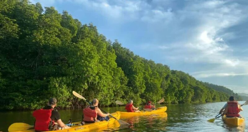 Miches: Private Kayak Excursion Through El Limón Lagoon - Practical Details and Tips