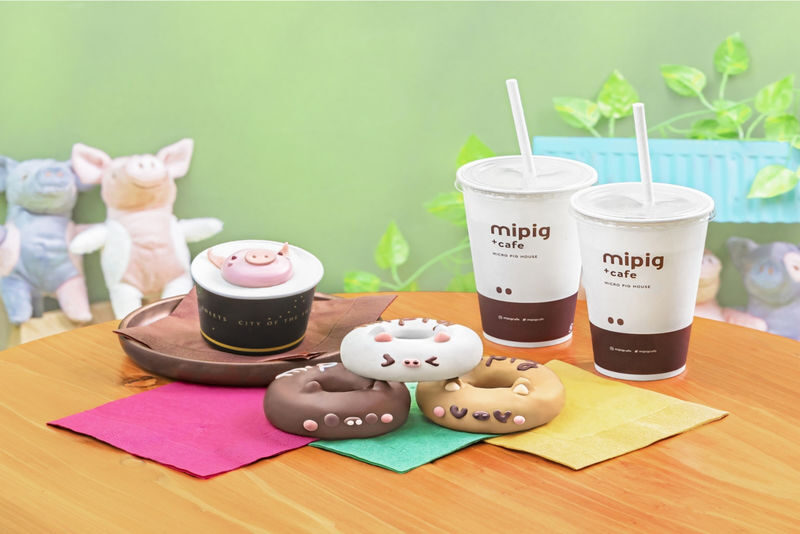 Micro Pig Cafe Experience in Harajuku - A pig encounter, not a conventional café visit