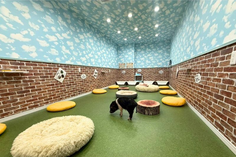 Micro Pig Cafe Experience in Osaka - Meet & Play at Buta Goya - Should you book Buta Goya?
