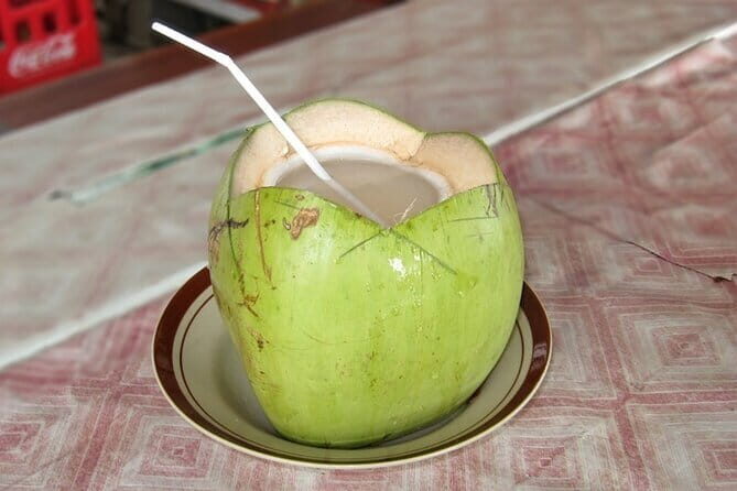 Midday Cruise with Village Life - Key Points