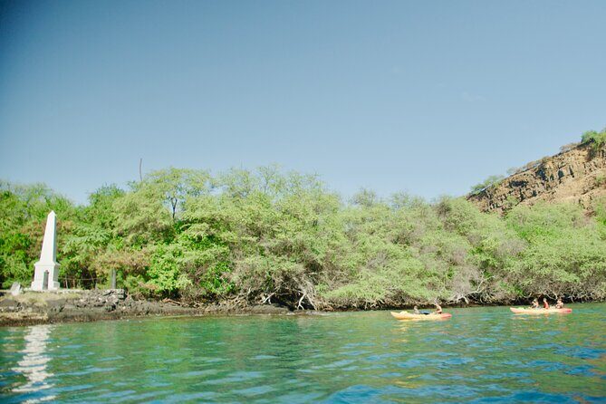 Midday Meander - Kealakekua Bay Kayak and Snorkel Adventure - A Close-Up Look at the Midday Meander - Kealakekua Bay Kayak and Snorkel Adventure