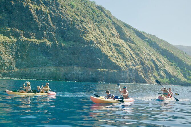 Midday Meander - Kealakekua Bay Kayak and Snorkel Adventure - Who Will Love This Tour?