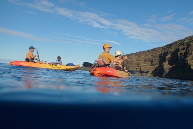 Midday Meander - Kealakekua Bay Kayak and Snorkel Adventure - Frequently Asked Questions (FAQs)