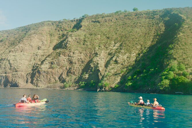Midday Meander - Kealakekua Bay Kayak and Snorkel Adventure - Final Thoughts