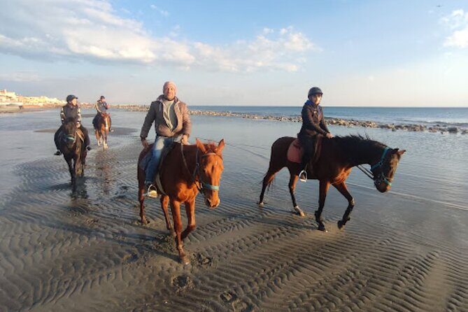 Middle day out of Rome on Horseback with meals included - Discovering Abruzzo: An Authentic Horseback Journey from Rome