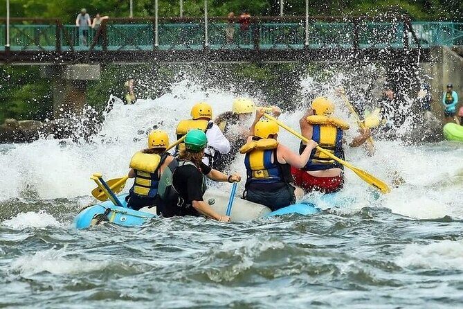 Middle Ocoee Whitewater Rafting - What the Reviews Say: Authentic Perspectives