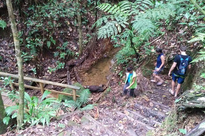 Middleham Falls Hike and Ti'tou Gorge Half-Day Excursion - Practical Tips for Your Adventure