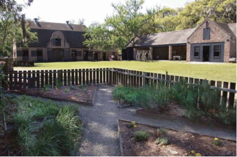 Middleton Place Plantation Tour - Who Is This Tour Best For?