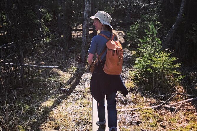 Midnight Sun and Campfire - National Park evening hike Stockholm - Final Thoughts: Is It Worth It?