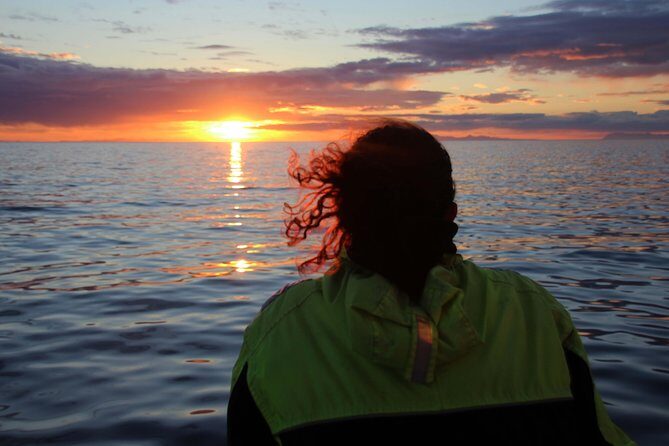 Midnight Sun Whale Watching from Reykjavik - Who Should Consider This Tour?