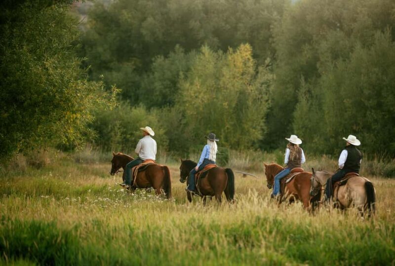 Midway, Utah: Horseback Riding Tour with Guide - The Experience in Detail
